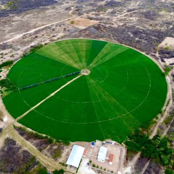 Vista aérea da plantação circular na Fazenda Vitória